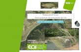 Restauración fluvial: Casos prácticos de restauración de ríos