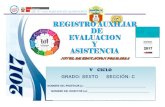 Registro auxiliar de evaluacion 2017