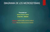 Diagrama de los microsistemas / Marleny Martinez Salinas - Grupo Dos Sábados -U. Iberoamericana 2017