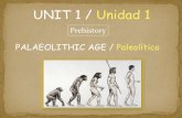 Prehistoria paleolitico   copia