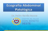 3 ecografía abdominal patologica