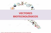 2017   p iv - grado 10 - biología