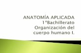 Anatomía Aplicada T1. Organizacion del cuerpo humano I.