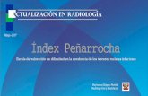 Index peñarrocha mayo 2017