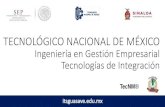 Mercadotecnia Electronica - Tecnologias de integracion