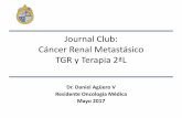 Cancer Renal Metastasico Tumor Growth Rate