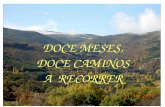 Doce meses, doce caminos a recorrer