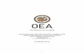 OEA difunde informe final de Observación de Honduras, similar al preliminar