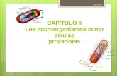 Curso de Microbiología cap ii