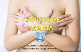 Cancer de mama pacientes