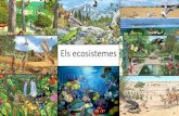 Els Ecosistemes (4ESO)