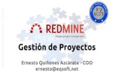 Redmine - Gestión de Portafolio de Proyectos