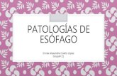 Patologías de esófago- CIRUGIA