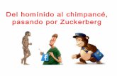 Del hom­nido al chimpanc©, pasando por zuckerberg