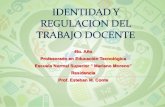 Identidad y regulaciones del trabajo docente (3)