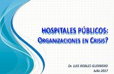 Dr L Robles Guerrero hospitales organizaciones en crisis Peru 2017