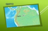 Quito edison avila