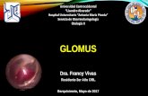 Glomus yugulotimpanico