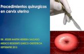 Procedimientos quirurgicos en cervix uterino