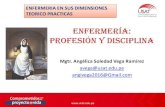 Enfermeria disciplina y profesion pdf