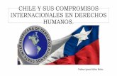 Chile Compromisos Internacionales en Derechos Humanos (IV Medio)