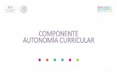 Autonomia curricular informacion-sensiblización-julio2017