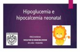 Hipoglucemia e hipocalcemia neonatal