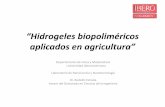 Hidrogeles biopoliméricos aplicados en agricultura