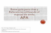 Breve guía para citas y referencias utilizando el manual de APA