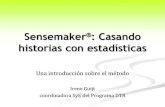 Presentación Encuentro 2010 - Sensemaker Programa DTR