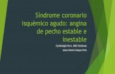 angina de pecho estable inestable/ SICA