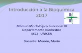 2017 0 introducción a la bioquímica nerviosa slideshare