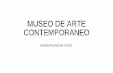 Museo de arte contemporaneo98