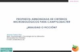 Propuesta Armonizada de Criterios Microbiológicos para Campylobacter. Antonio Valero