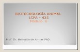 Biotecnología módulo 6