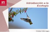 Clase de introducción a la Ecología