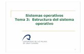 Tema 3: Estructura y servicios del sistema operativo · PDF fileLeer el estado del sistema (hora, nº de procesos, etc.) 12 Servicios adicionales Aparte de los servicios básicos,