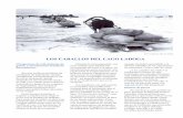 3. Los Caballos del Lago Ladoga - e-hydria.come-hydria.com/wp-content/uploads/3.-Los-Caballos-del-Lago-Ladoga.pdf · colocar explosivos subterráneos para volar la ciudad si era tomada,
