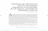 Estrategias de sobrevivencia ante los movimientos ... · PDF fileante los movimientos migratorios en las familias de Las Ánimas, municipio de Minatitlán, Veracruz ... En términos