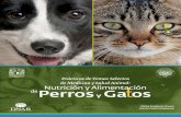d Sel d Animal - FMVZ-UNAM::papimes.fmvz.unam.mx/proyectos/manuales_nutricion/... · Discusión de casos clínicos con el profesor]] ... Evaluación de las dietas ofrecidas para perros