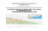CONSTRUCCIÓN DE PLAZA COMERCIAL …sinat.semarnat.gob.mx/dgiraDocs/documentos/bcs/estudios/2007/03BS... · III.4 Normas oficiales mexicanas ... de los Cabos y en el Plan Director