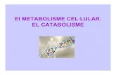 El METABOLISME CEL·LULAR. EL CATABOLISMEblocs.xtec.cat/cnduc/files/2009/11/metab07pp.pdf · • Se porta a terme al citoplasma cel lular. Glucosa GLUCÒLISIS Cond. aeròbiques 2