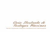 Guía Ilustrada de Tortugas Marinas - Prontuario estadísticoentorno.conanp.gob.mx/publicaciones/Guia_de_tortugas.pdf · “Guía ilustrada de Tortugas Marinas” Para los Campamentos