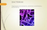 BACTERIAS - Departamento de Agricultura y Ganaderíaagricultura.uson.mx/romo/7.- Bacterias.pdf · Muchas causan enfermedades en el hombre (neumonía, tuberculosis, tifoidea) y en