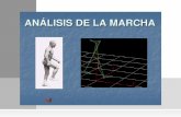 Diapositiva 1 - Academia UTPacademia.utp.edu.co/basicoclinica/files/2012/06/MARCHAS-PATOLO… · "La marcha humana es un método de locomoción que precisa del uso alternativo de