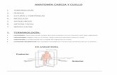 ANATOMÍA CABEZA Y CUELLO - Plataforma de estudios · PDF fileanatomÍa cabeza y cuello 1. terminologÍa 2. huesos 3. suturas y fontanelas 4. mÚsculos 5. aponeurosis 6. arteria facial