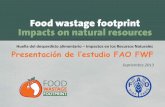 Huella del desperdicio alimentario Impactos en los ... · PDF fileProcessing Distribution Consumption ... fuentes de impactos ambientales (etapas 1 a 6) en el ciclo de vida de los
