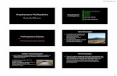 Periodo Preclásico: Neolítico Tlatilco Arquitectura ...aducarte.weebly.com/uploads/5/1/2/7/5127290/8._clasico.pdf · 21/03/2013 1 Arquitectura Prehispánica Periodo Clásico Arquitectura