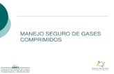 MANEJO SEGURO DE GASES COMPRIMIDOS -  · PDF filemanejo seguro equipos de oxicorte. manejo y aseguramiento de los cilindros
