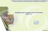 Clasificación Central de Productos CCP 1 - inegi.gob.mx 1.1 f.pdf · TOTAL DE INSUMOS NACIONALES E IMPORTADOS TOTAL DE INSUMOS IMPORTADOS TOTAL DE INSUMOS ... BD Matriz de Insumo-Producto